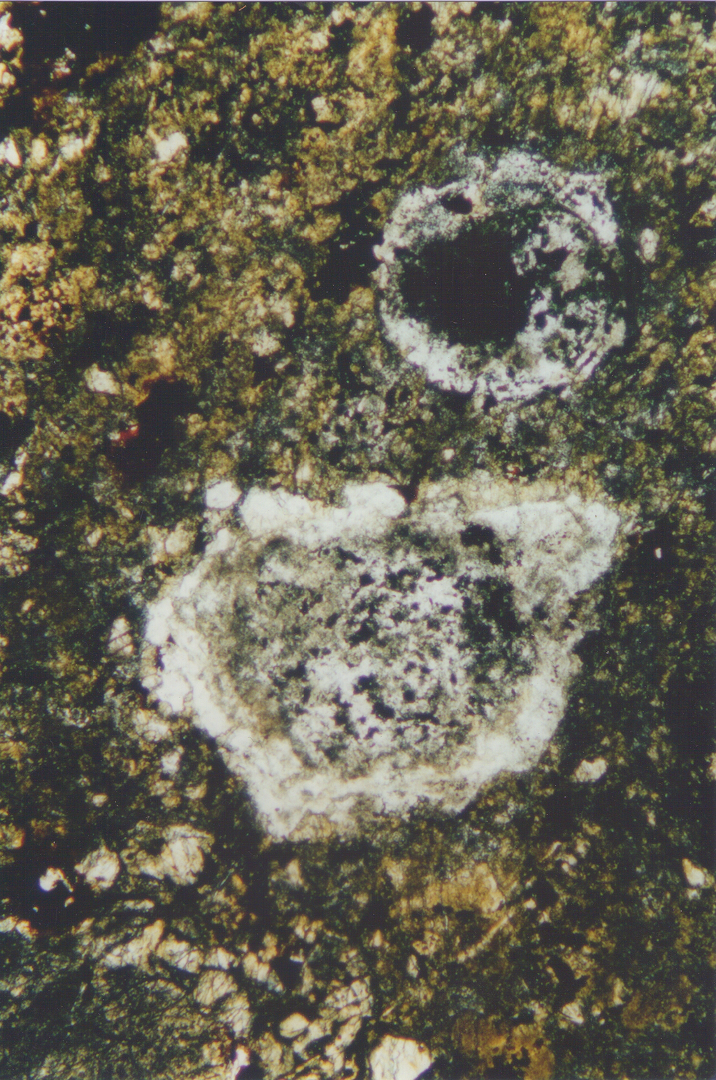 Struktur eines Meteoriten CK4