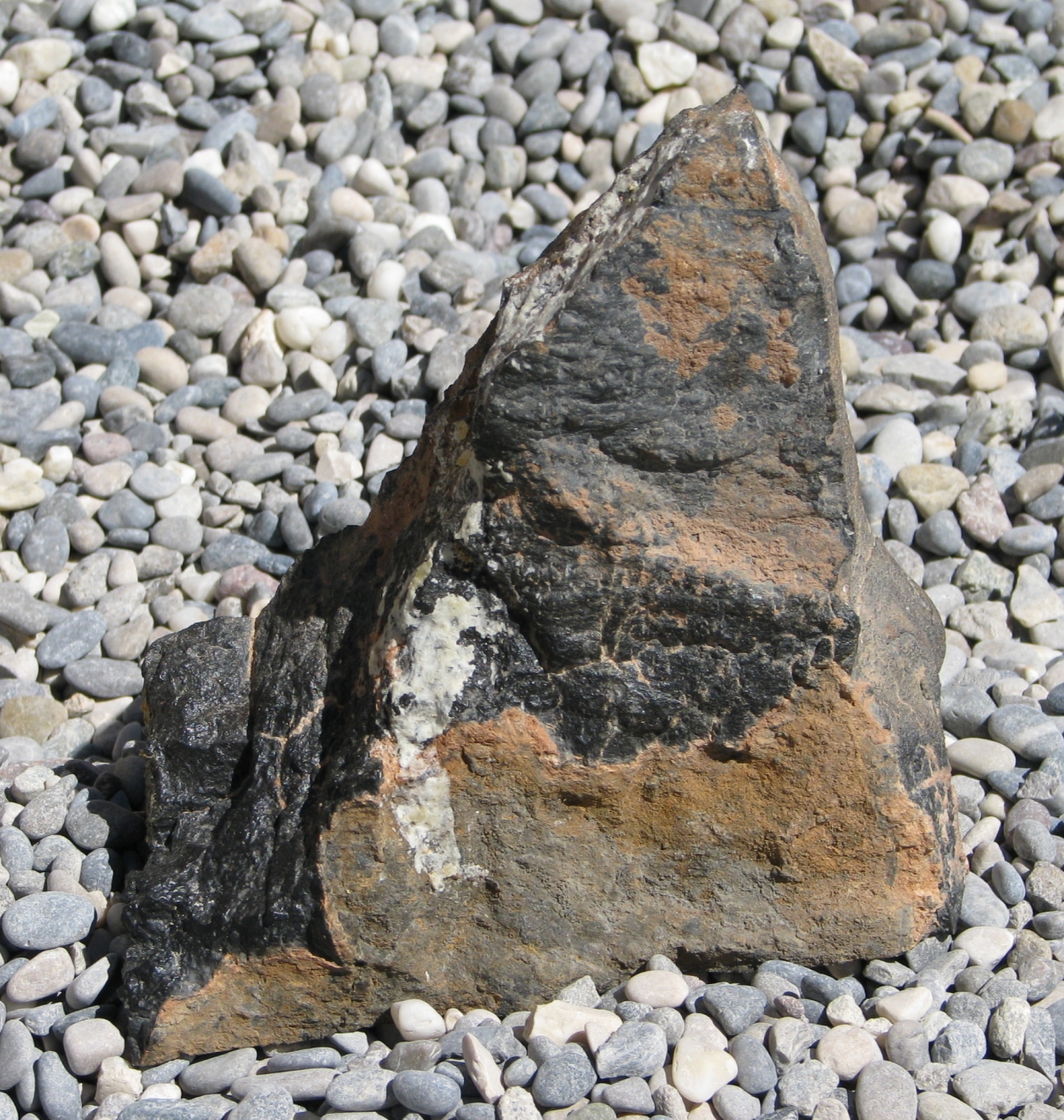 Splitter des kohligen Chondrit CK4 HaH 280